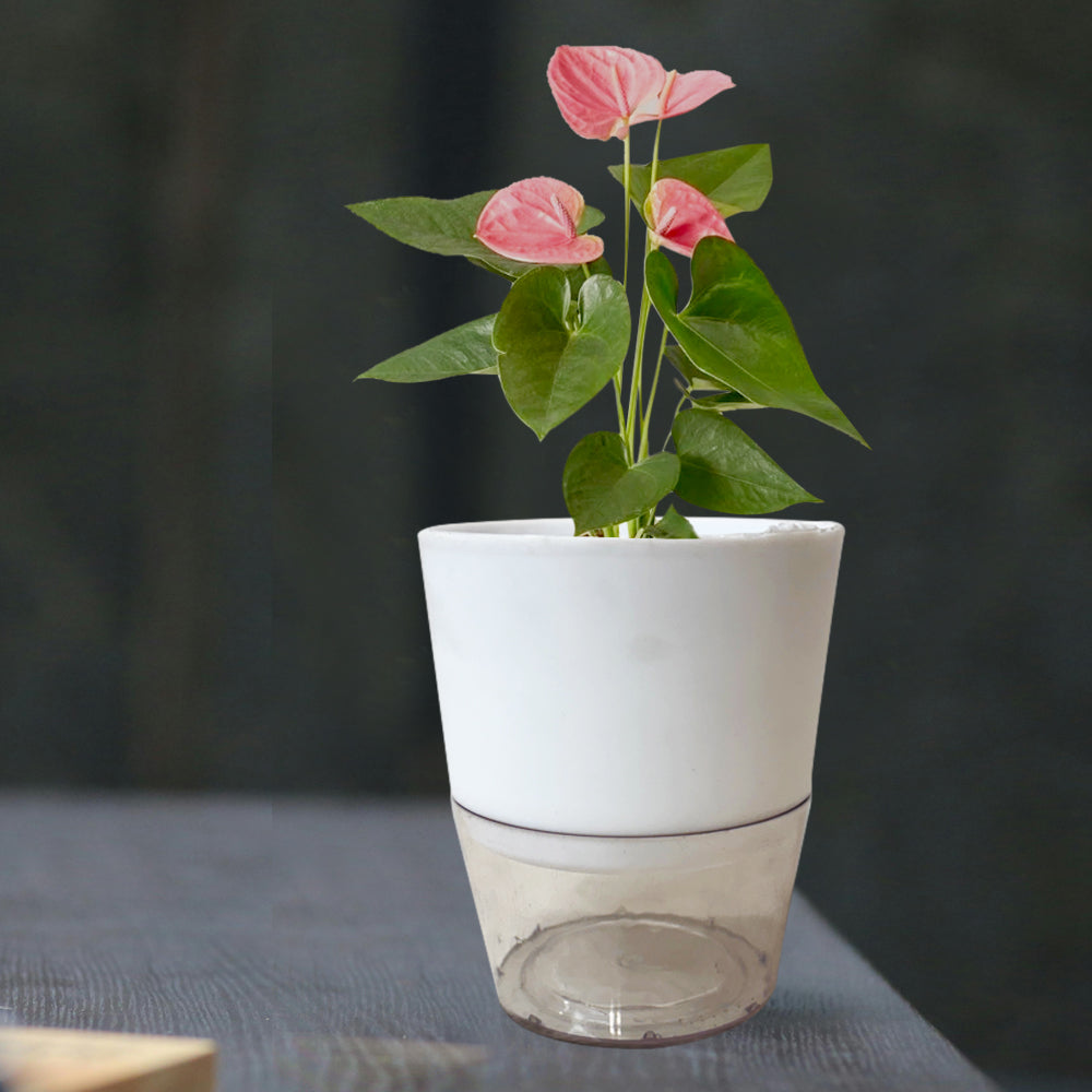 Self Watering Planter Pot
