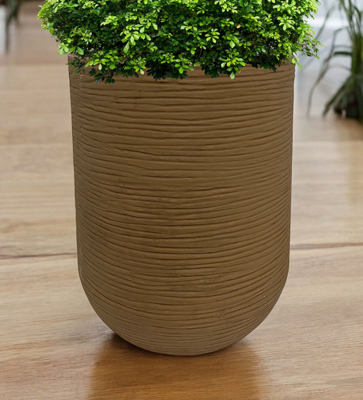 Roto Planter - Cylindrical shape - PMIR -01