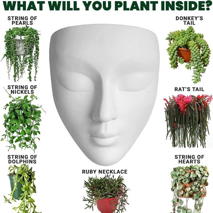 Lady Face Planter