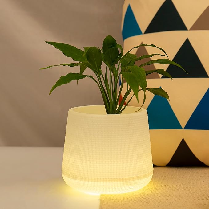 Planter Pot With Yellow Light 6 Inch