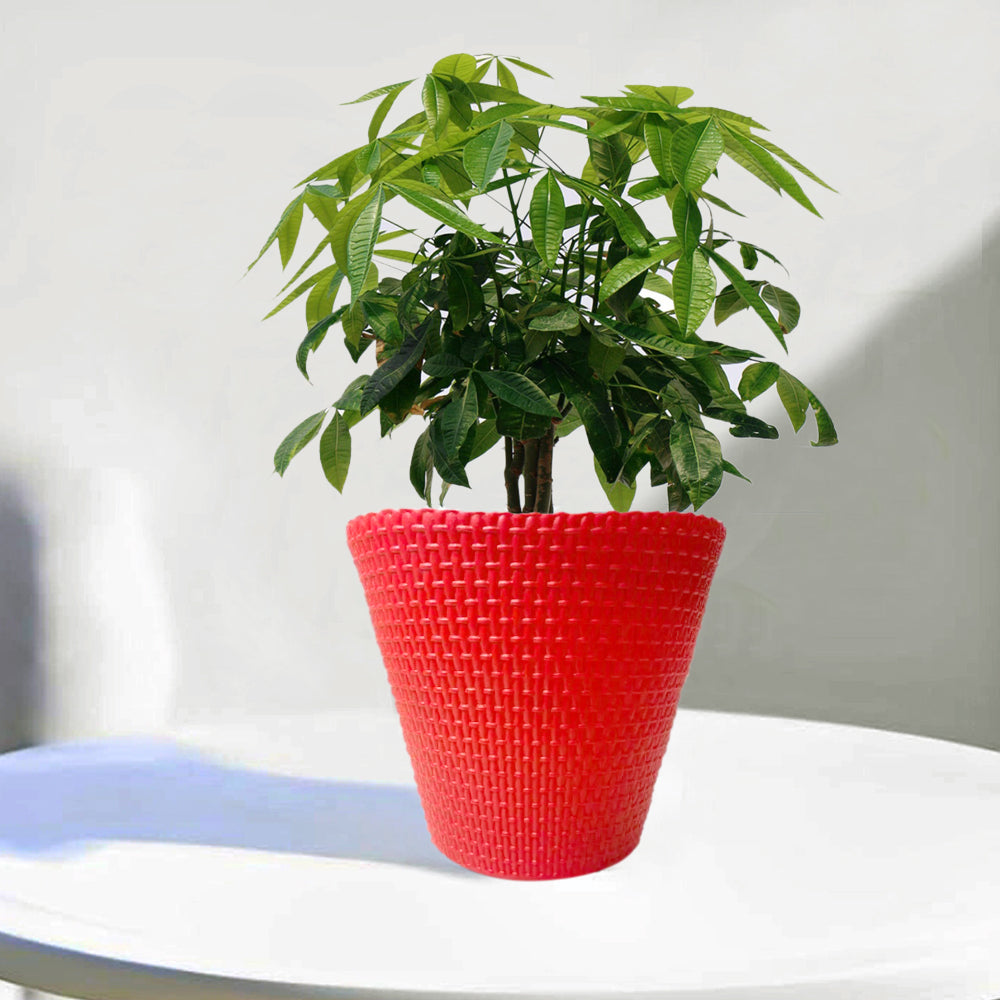 Cindrella Net Style Planter Pot