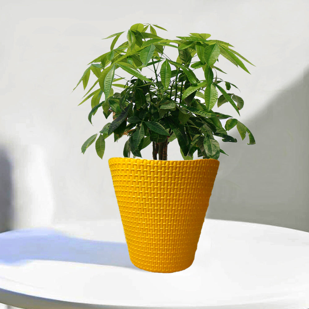 Cindrella Net Style Planter Pot