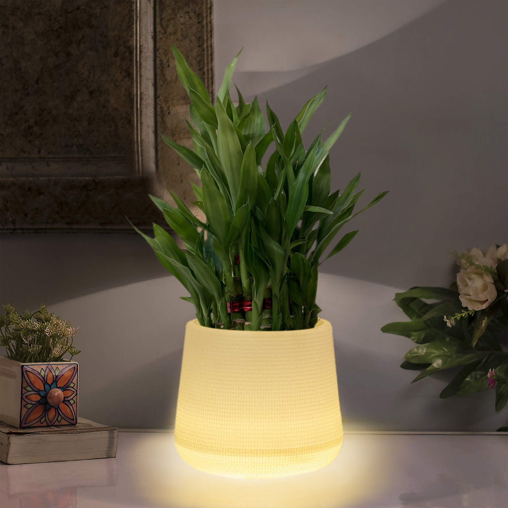 Planter Pot With Yellow Light 6 Inch