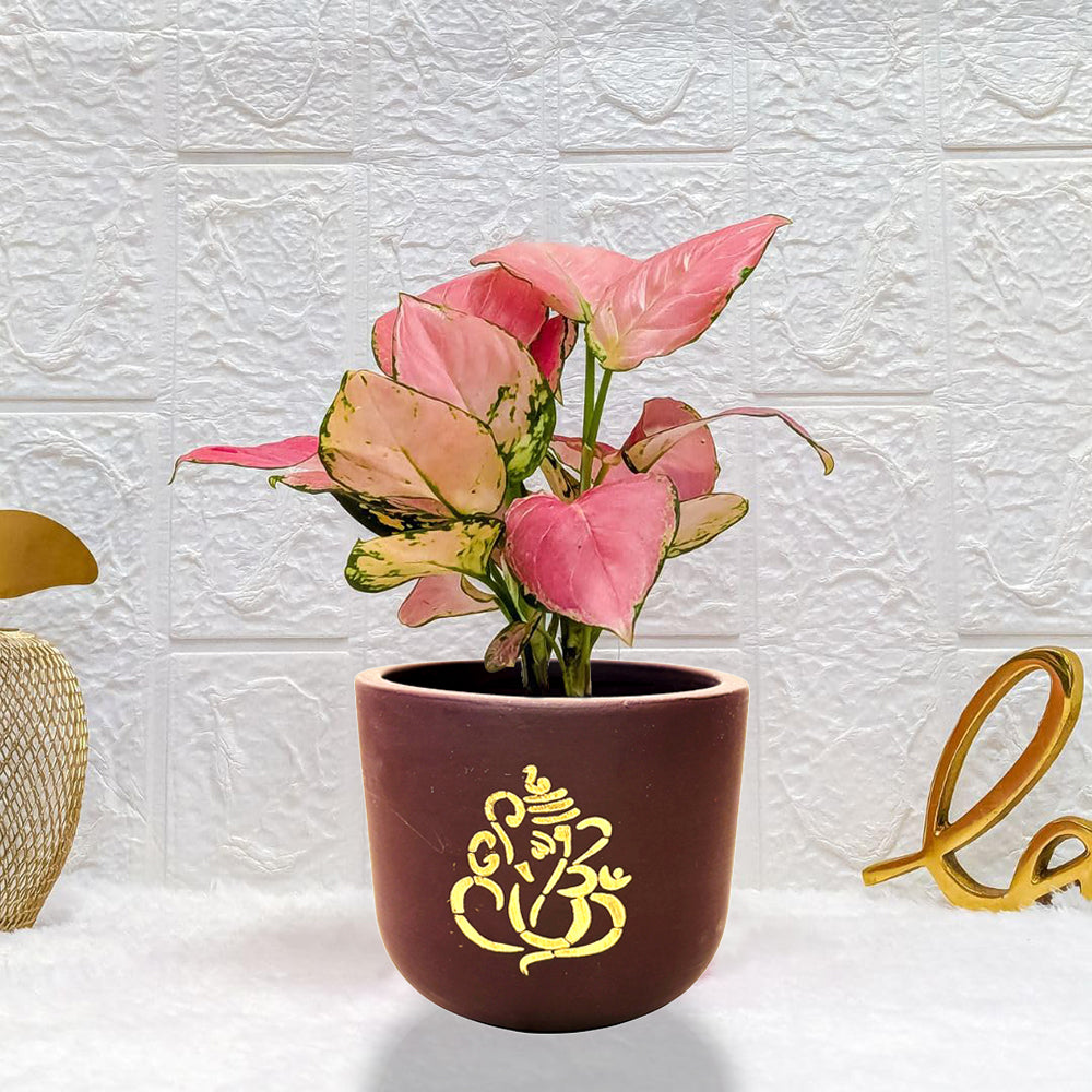 Ganeshji Ceramic Pot
