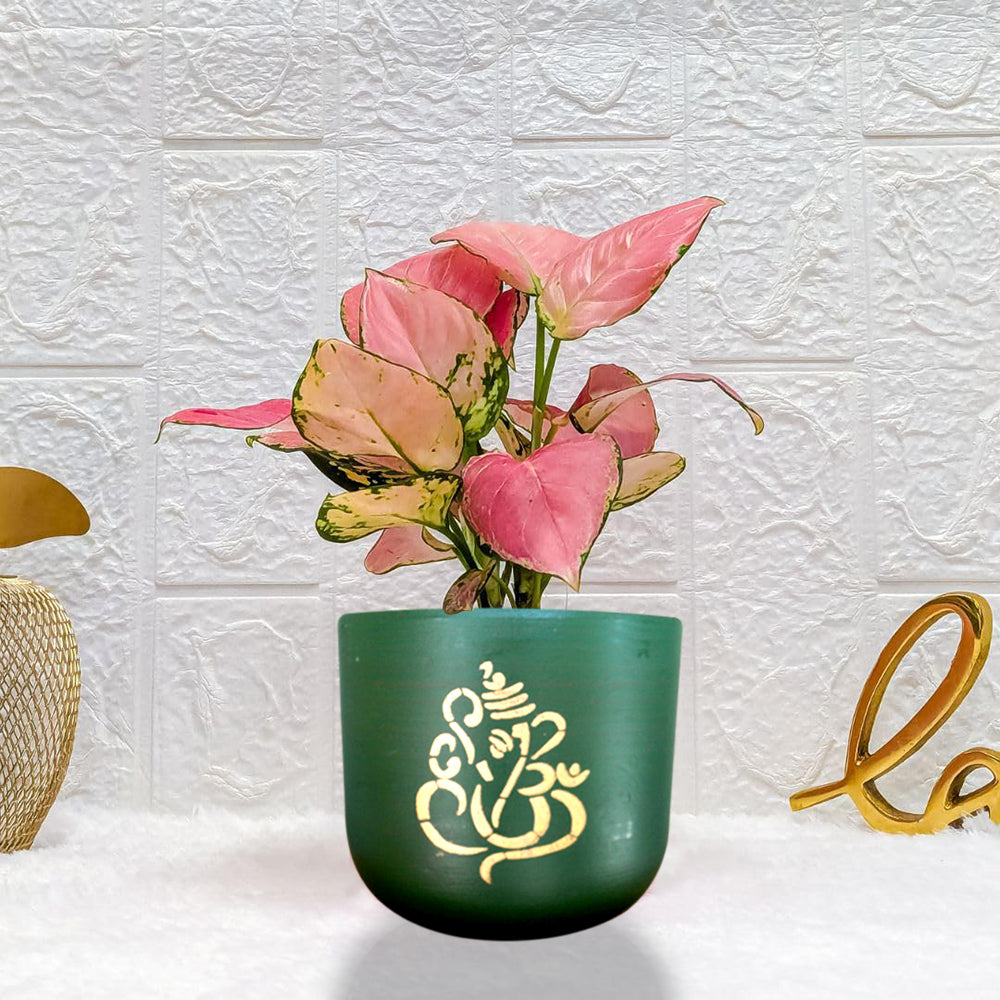 Ganeshji Ceramic Pot