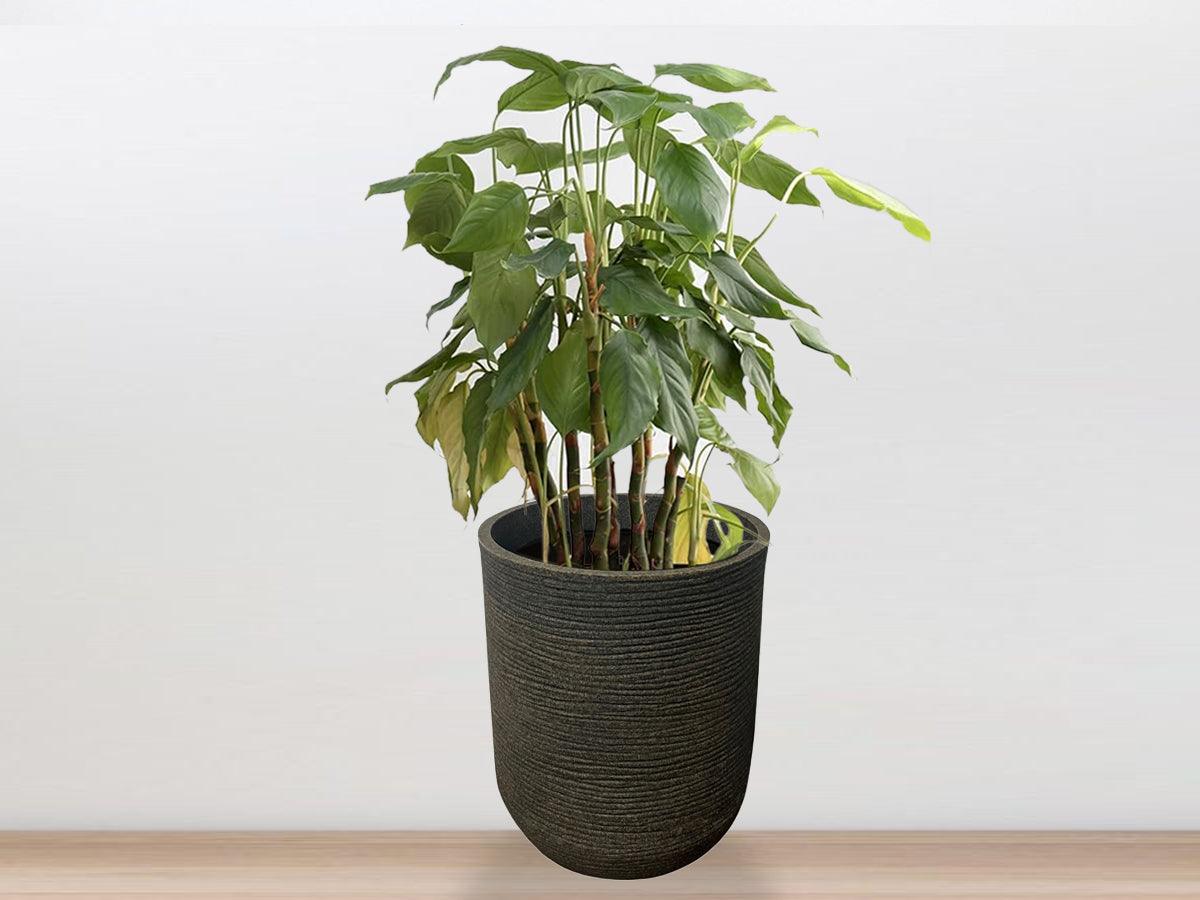 Roto Planter - Cylindrical shape - PMIR -01