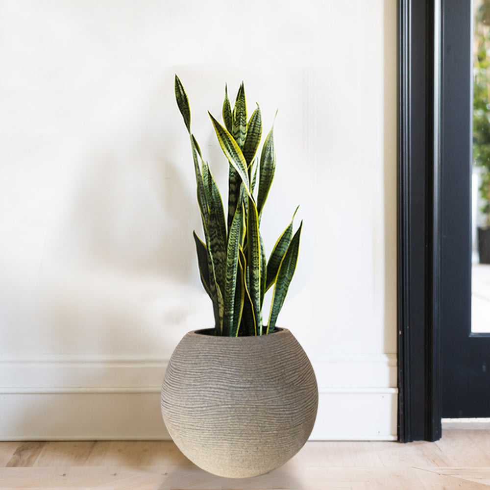 Roto Planter - Round shape - PMJ-01 (16.5" (H) * 20"(D))