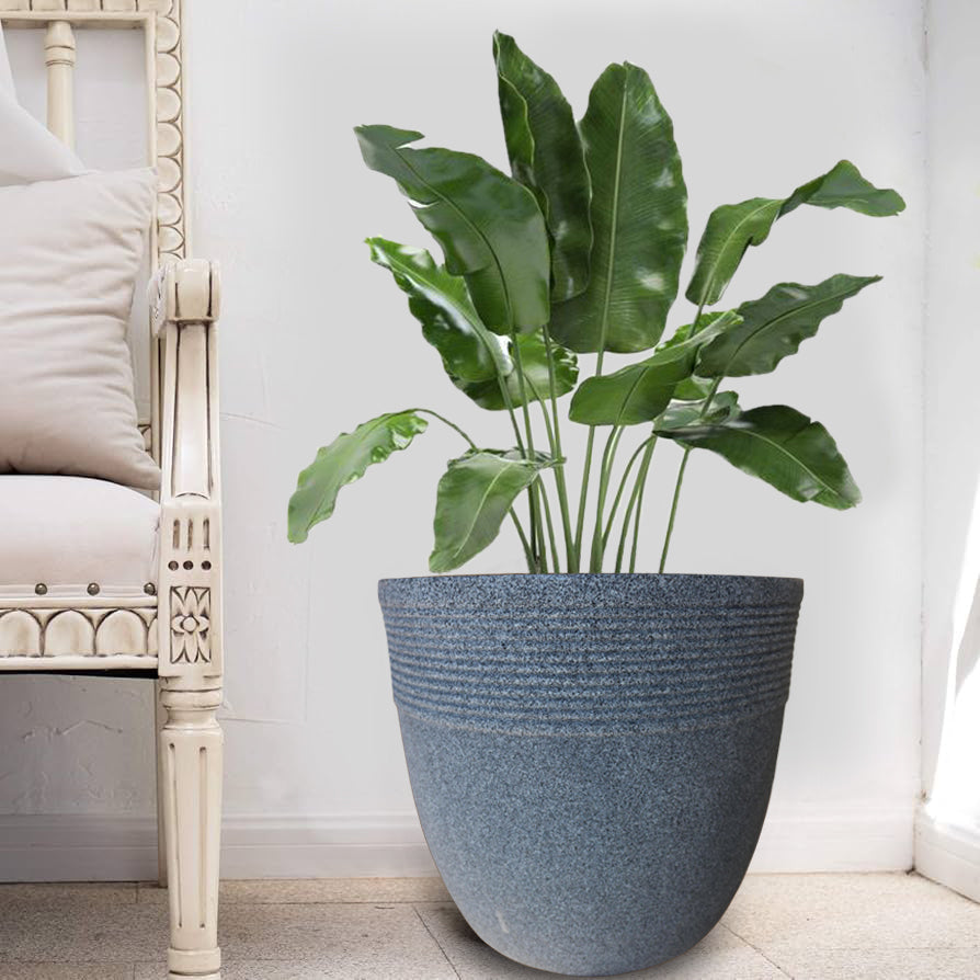 Roto Planter - Bucket Shape - PSIR - 01