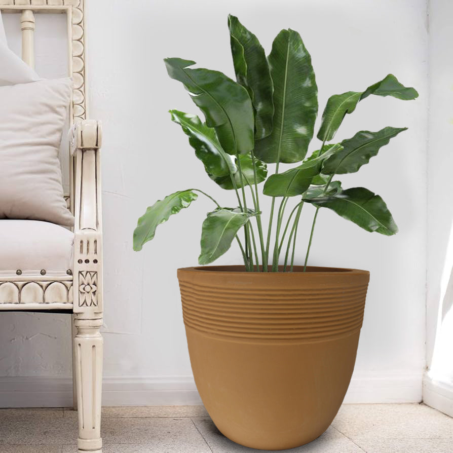 Roto Planter - Bucket Shape - PSIR - 01
