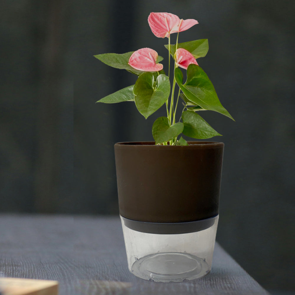 Self Watering Planter Pot