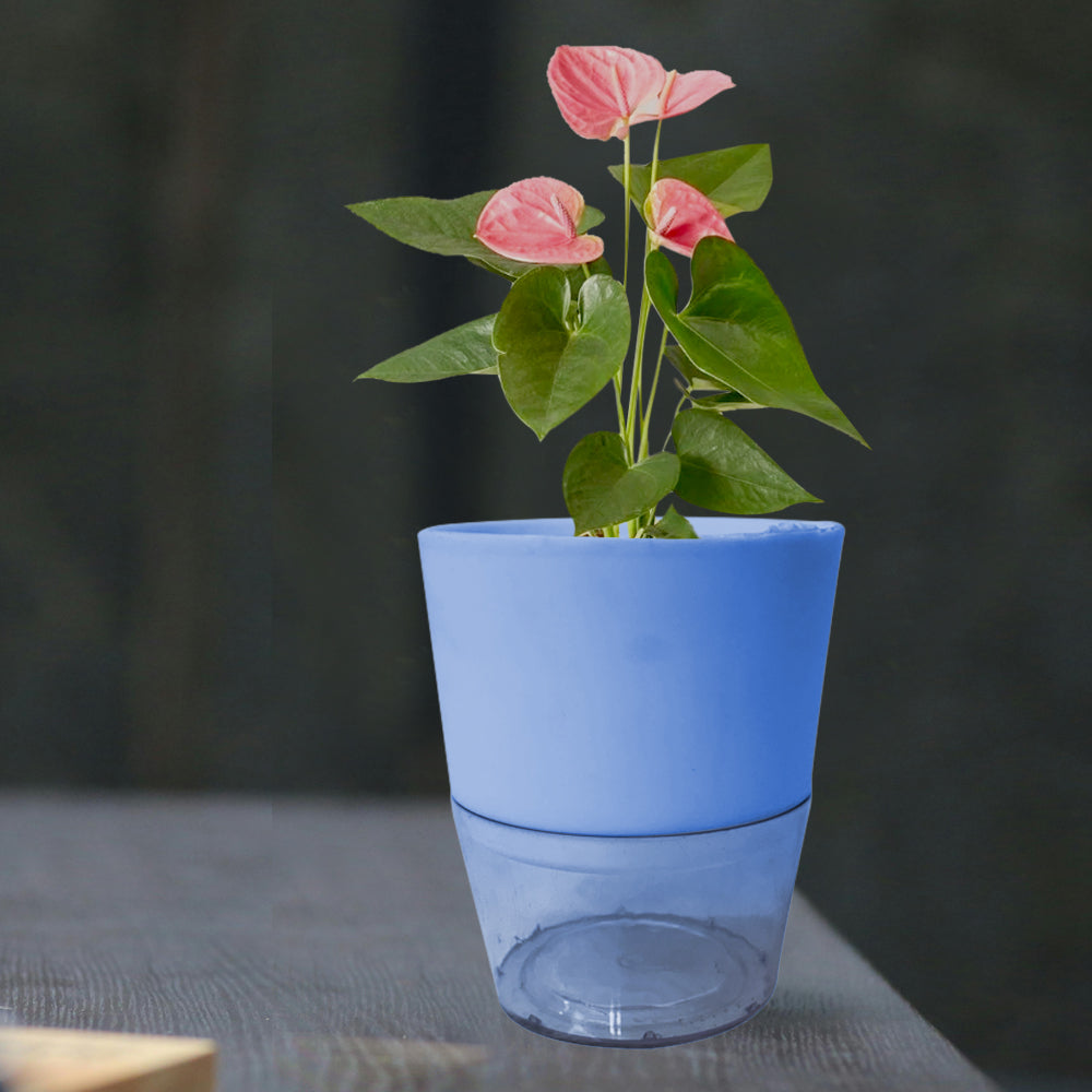 Self Watering Planter Pot