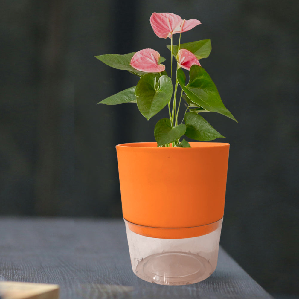 Self Watering Planter Pot