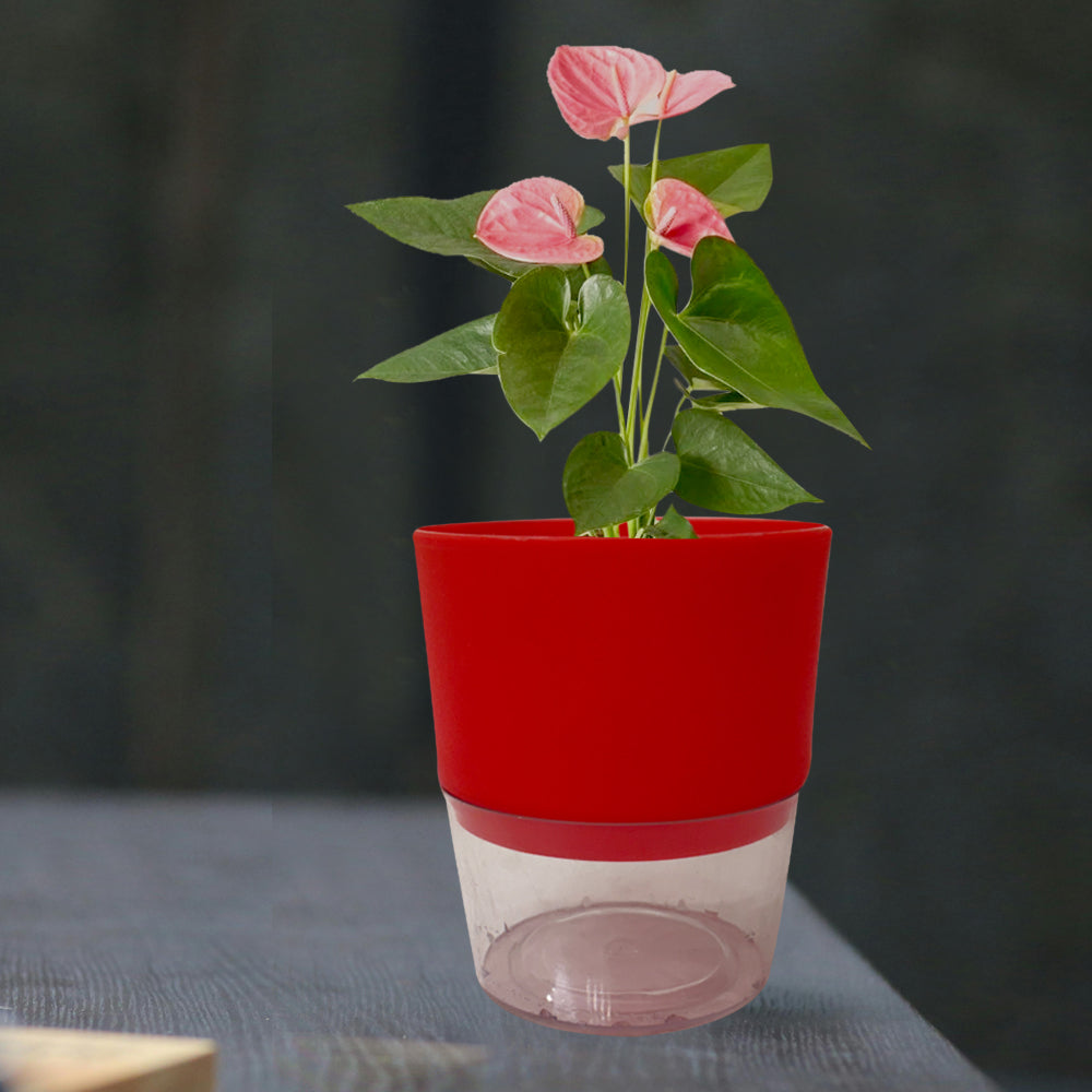 Self Watering Planter Pot