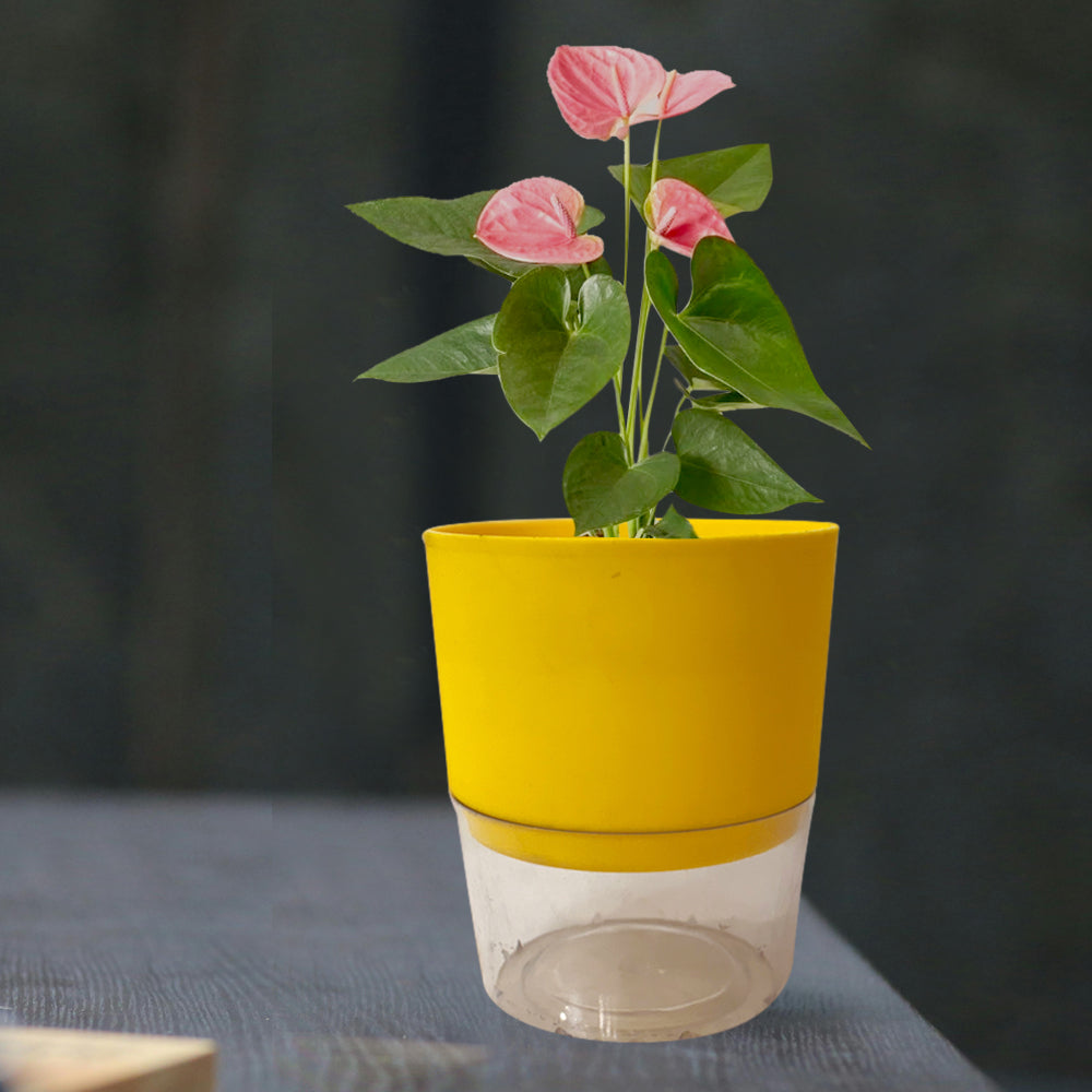 Self Watering Planter Pot