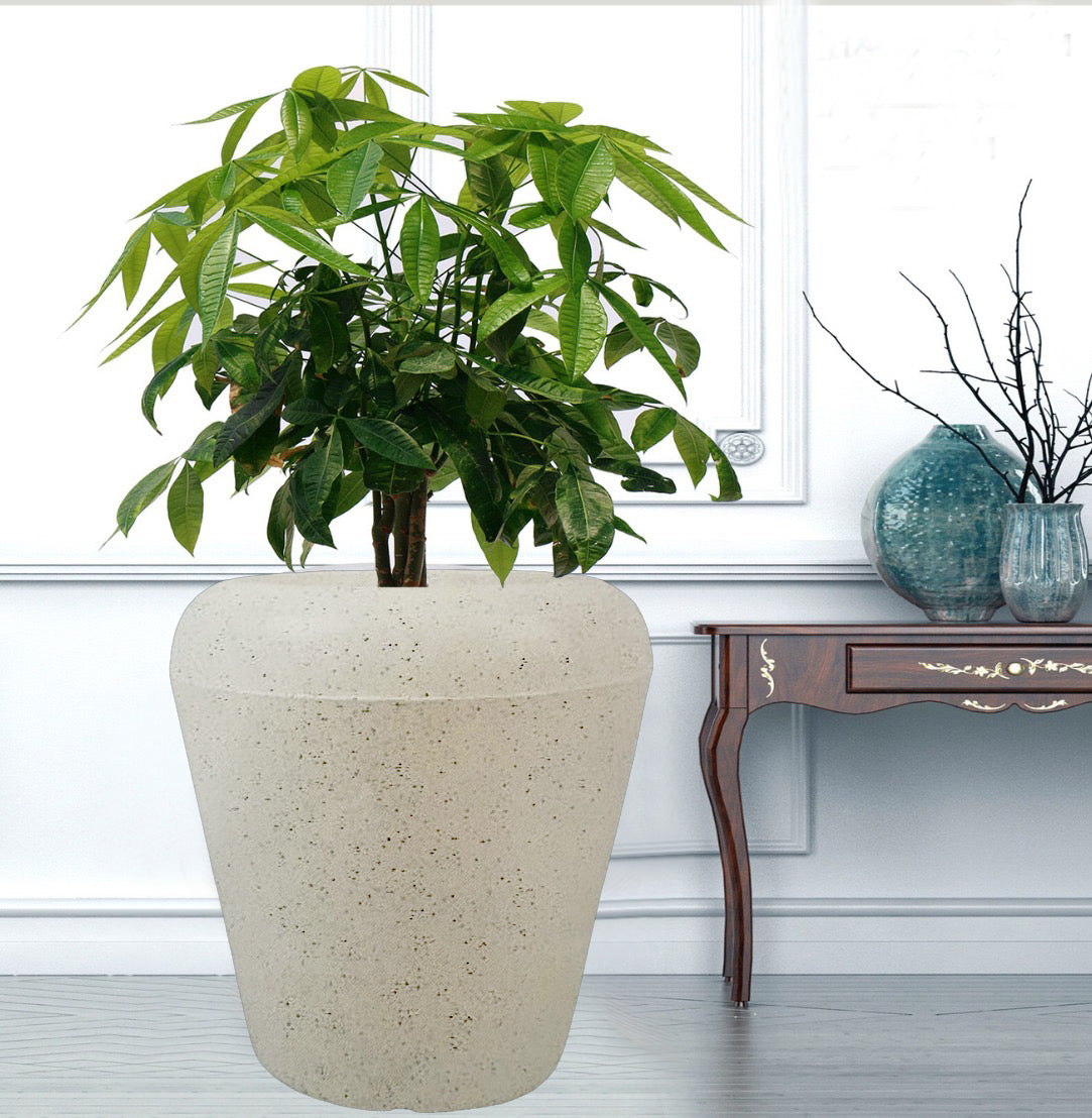 Neptune Polymer planters