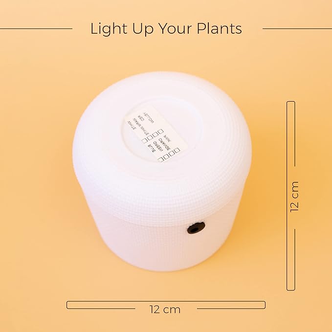 Planter Pot Without Light 6 Inch