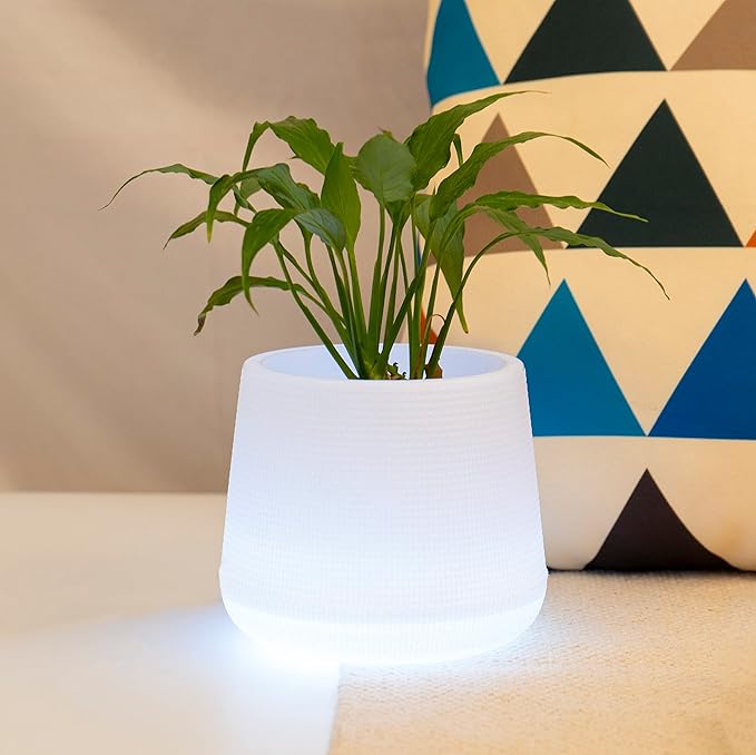 Planter Pot With Warm White Light 6 Inch