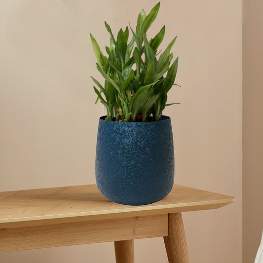 R&S Grey Textured Table Pot 6 Inch