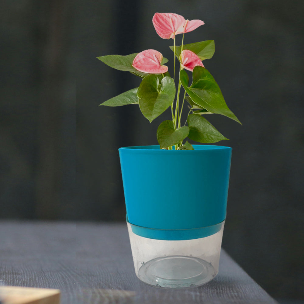 Self Watering Planter Pot